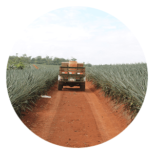 seamless logistics